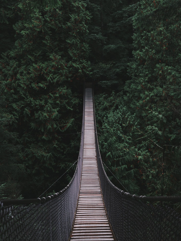 Swinging footbridge